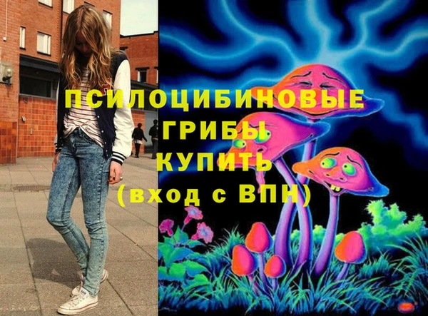 apvp Армянск